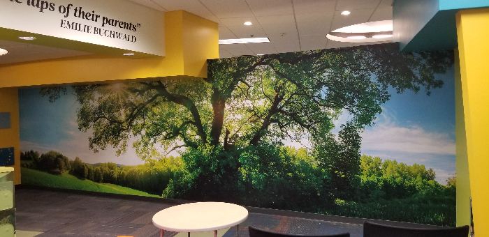 Library wall murals in Chandler AZ