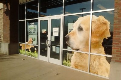 Window Graphics Chandler AZ