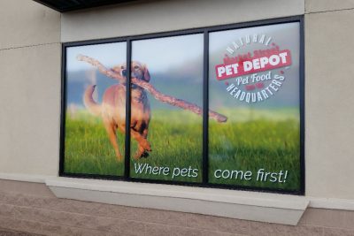 Window Graphics Phoenix AZ