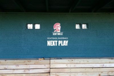 Wall Murals Scottsdale AZ