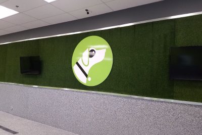 Wall Murals Tempe AZ