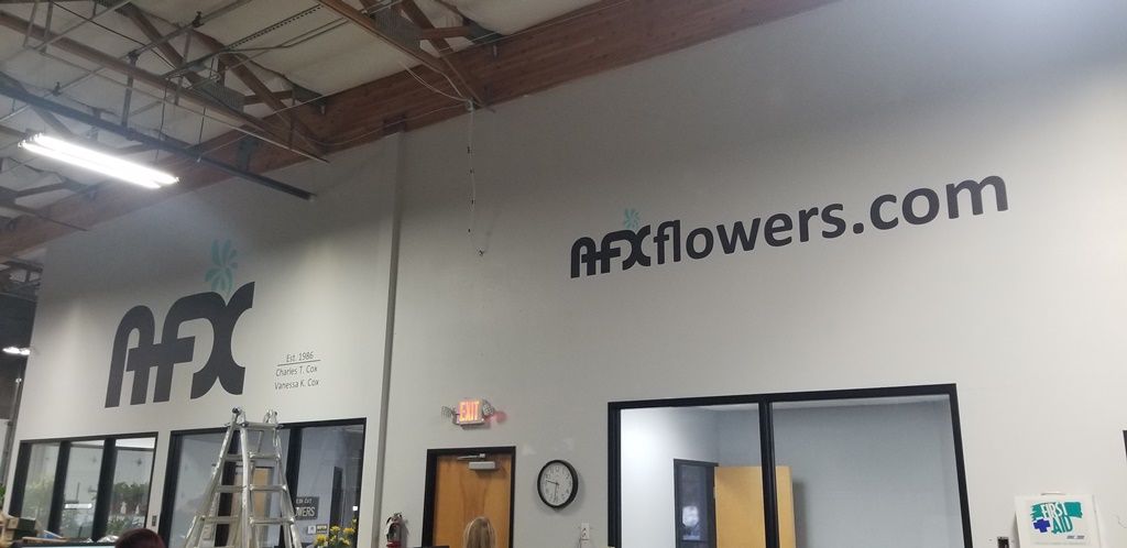 Vinyl Wall Lettering in Gilbert AZ