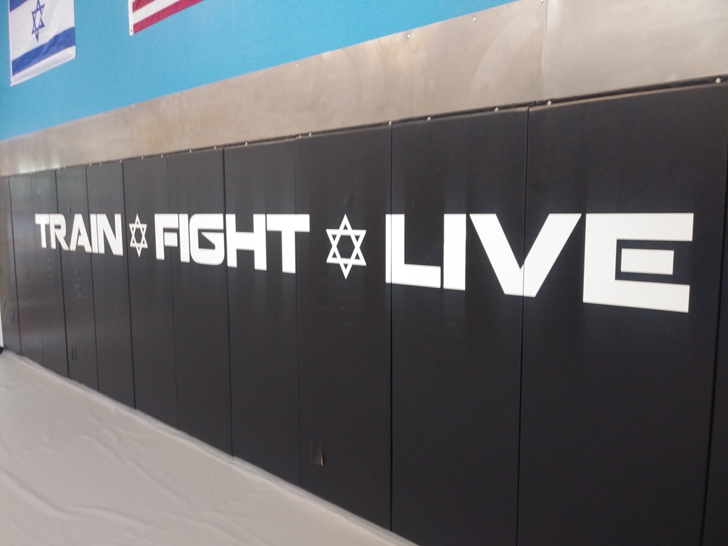 Motivational Wall Graphics for Martial Arts Centers in Gilbert AZ