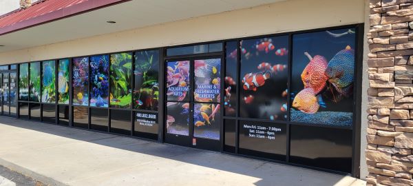 Window Graphics for Retail Stores in Mesa AZ Update Aquarium Arts!