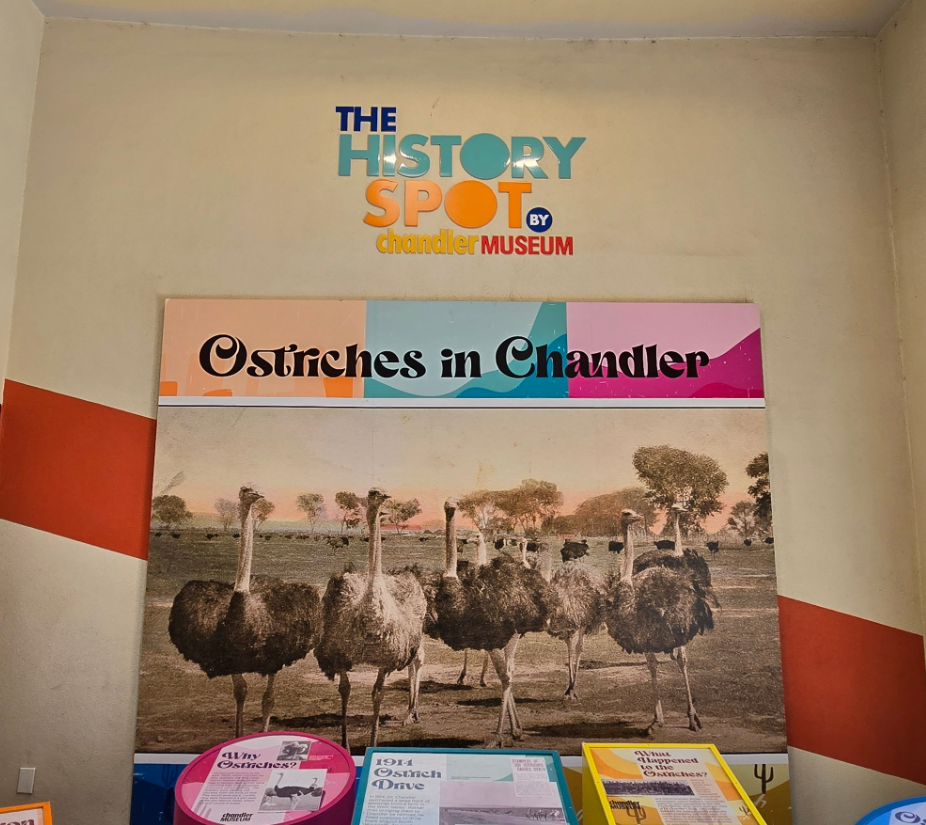 Chandler Museum Breezeway