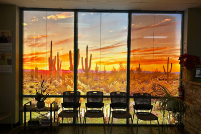 Translucent Window Wraps