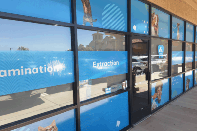 perforated window vinyl custom