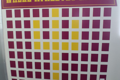 Digitally Printed Vinyl Graphics In Tempe AZ